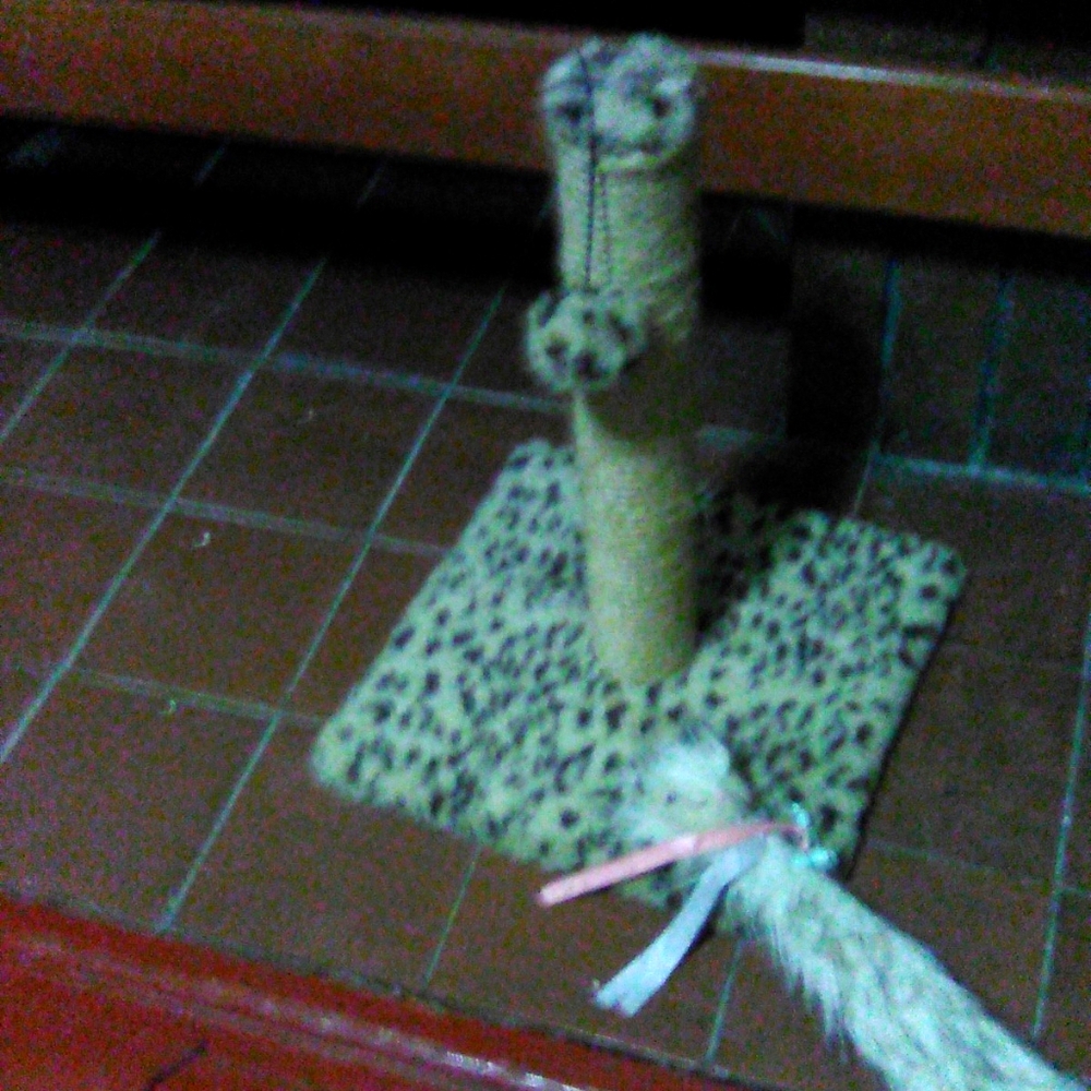 Cat scratch post